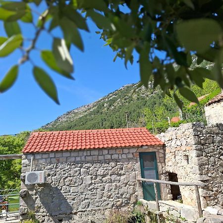 Cottage Melita The Apartment For Animal Lovers Babino Polje المظهر الخارجي الصورة