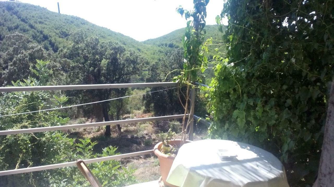 Cottage Melita The Apartment For Animal Lovers Babino Polje المظهر الخارجي الصورة