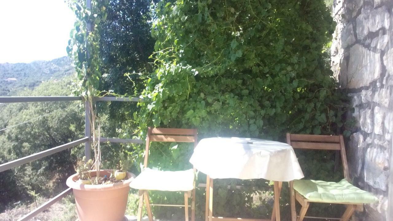Cottage Melita The Apartment For Animal Lovers Babino Polje المظهر الخارجي الصورة