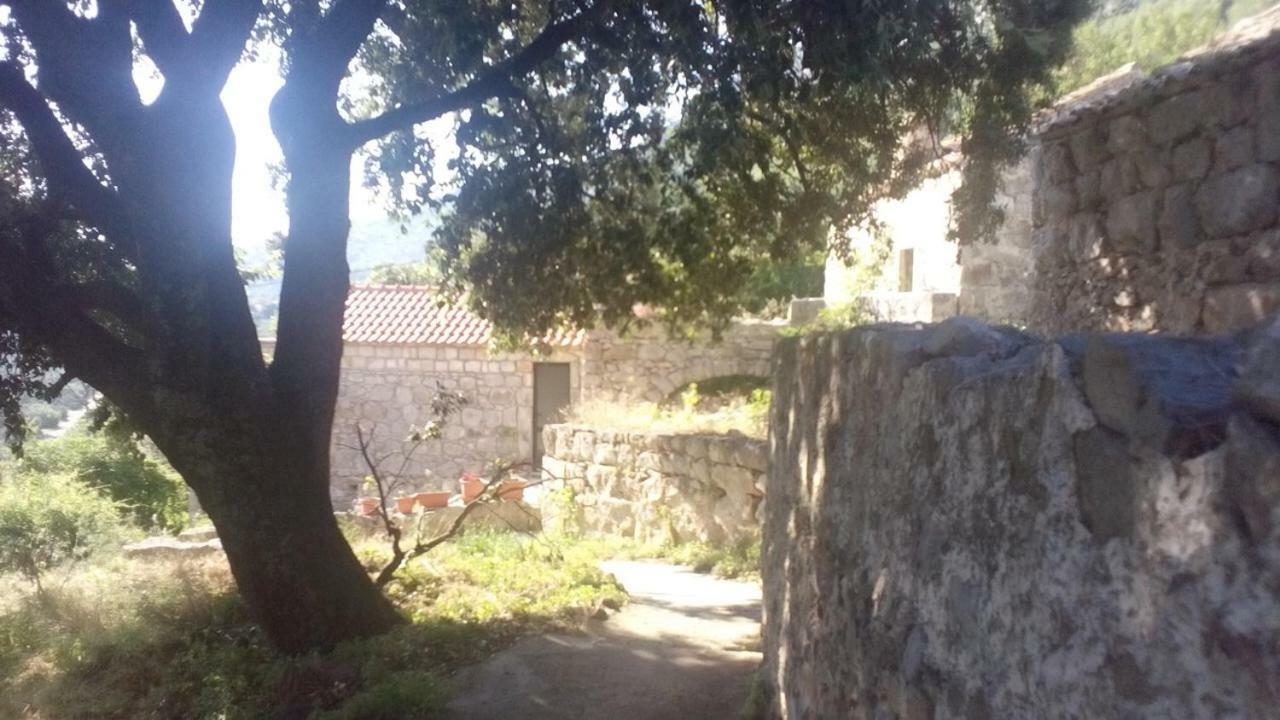 Cottage Melita The Apartment For Animal Lovers Babino Polje المظهر الخارجي الصورة