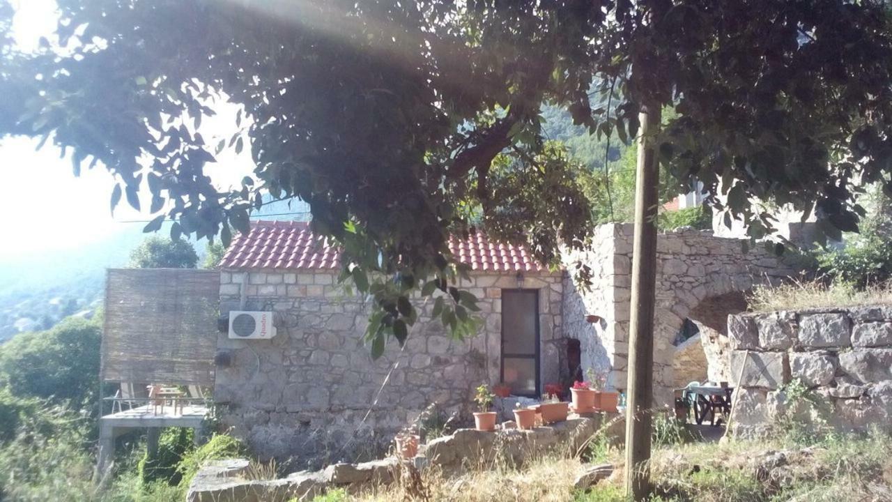 Cottage Melita The Apartment For Animal Lovers Babino Polje المظهر الخارجي الصورة