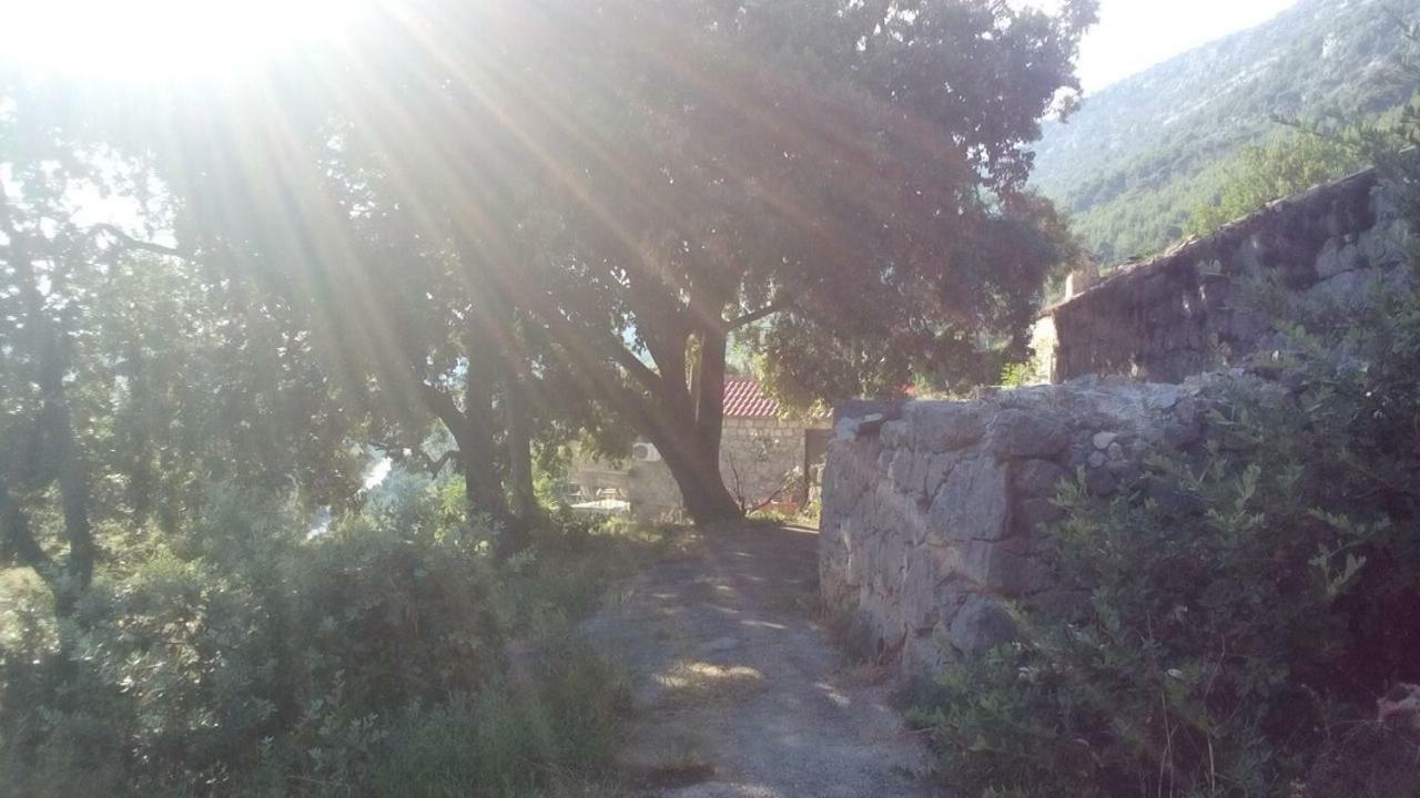 Cottage Melita The Apartment For Animal Lovers Babino Polje المظهر الخارجي الصورة