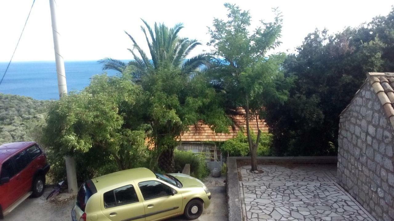 Cottage Melita The Apartment For Animal Lovers Babino Polje المظهر الخارجي الصورة
