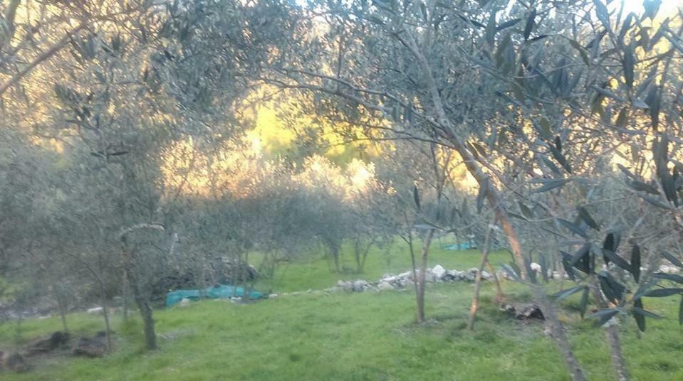 Cottage Melita The Apartment For Animal Lovers Babino Polje المظهر الخارجي الصورة