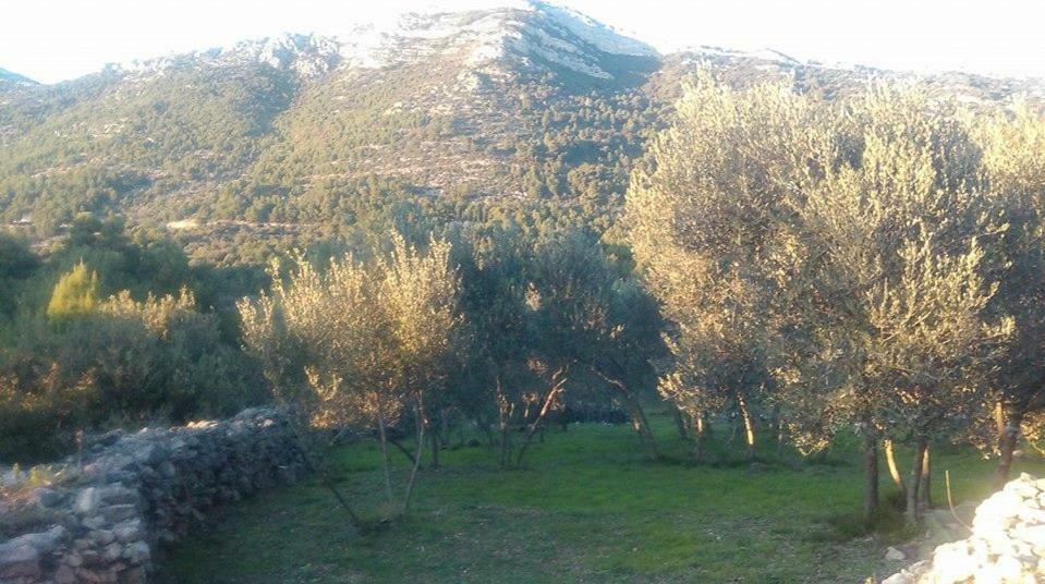 Cottage Melita The Apartment For Animal Lovers Babino Polje المظهر الخارجي الصورة