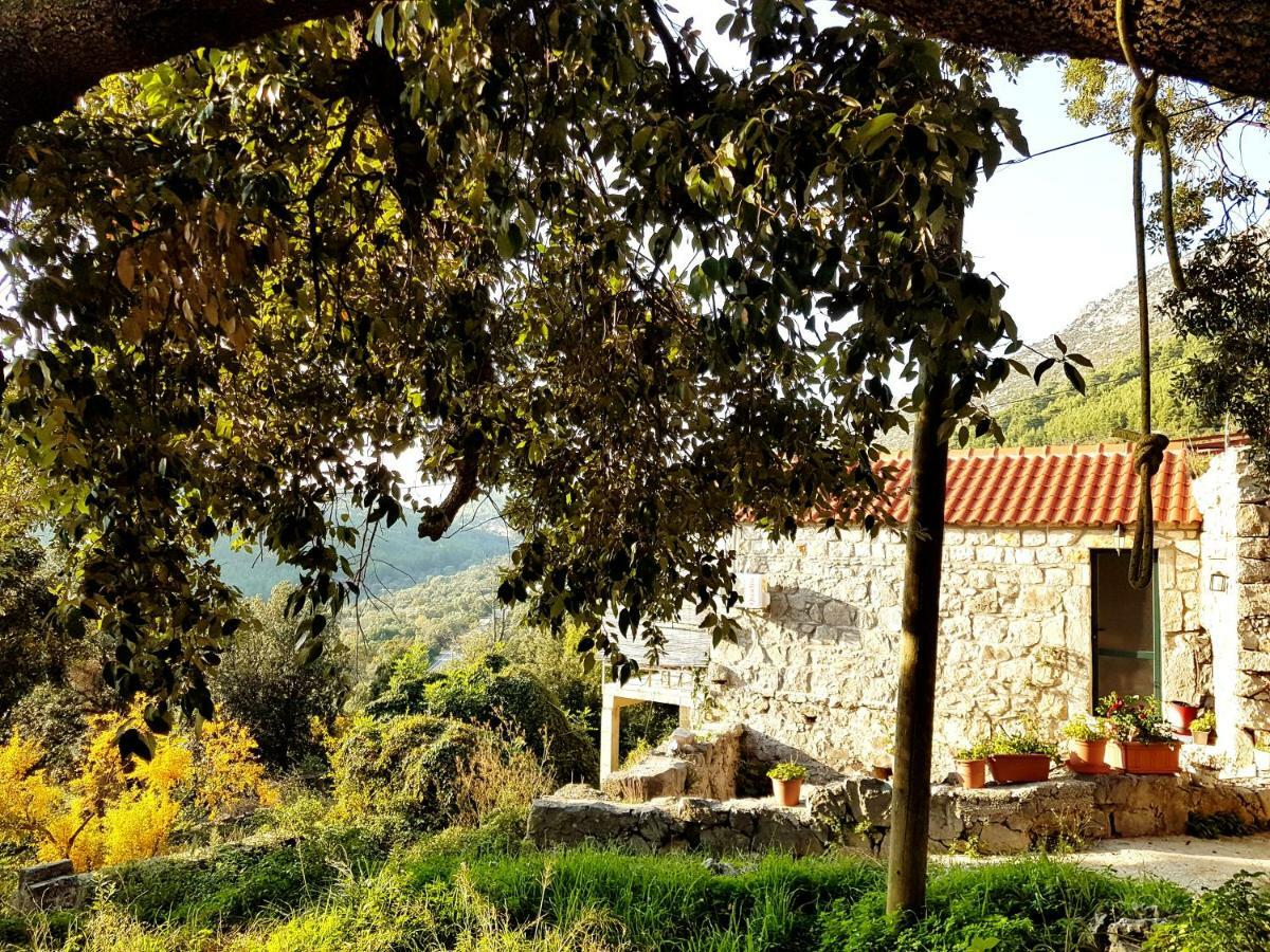Cottage Melita The Apartment For Animal Lovers Babino Polje المظهر الخارجي الصورة
